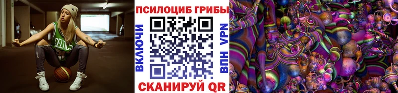 сколько стоит Новый Уренгой Псилоцибиновые грибы мицелий
